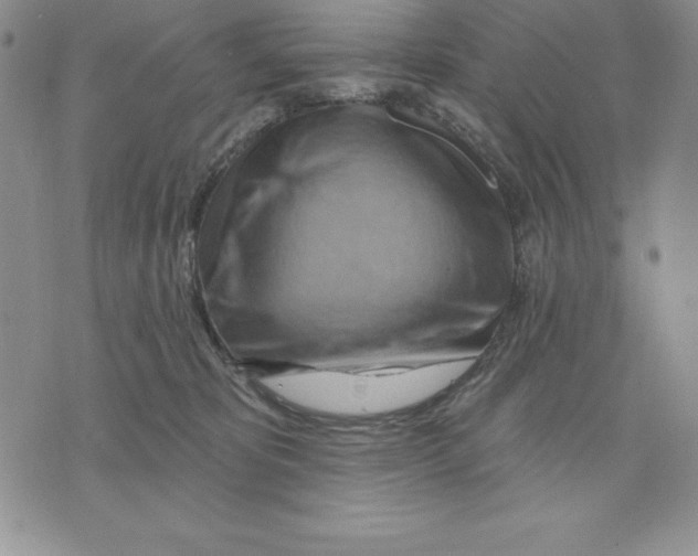 X0000075830325200610151526