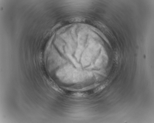 X0000075830326200610151526