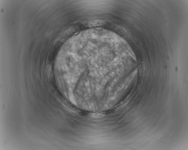 X0000075830327200610151526