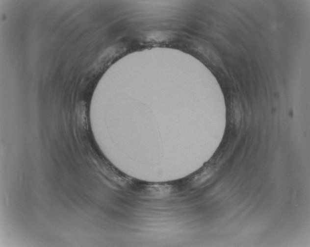 X0000075830328200610151526