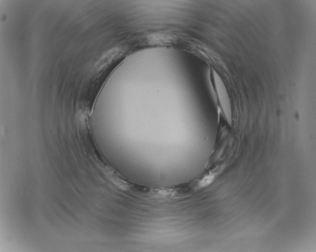 X0000075830329200610151526