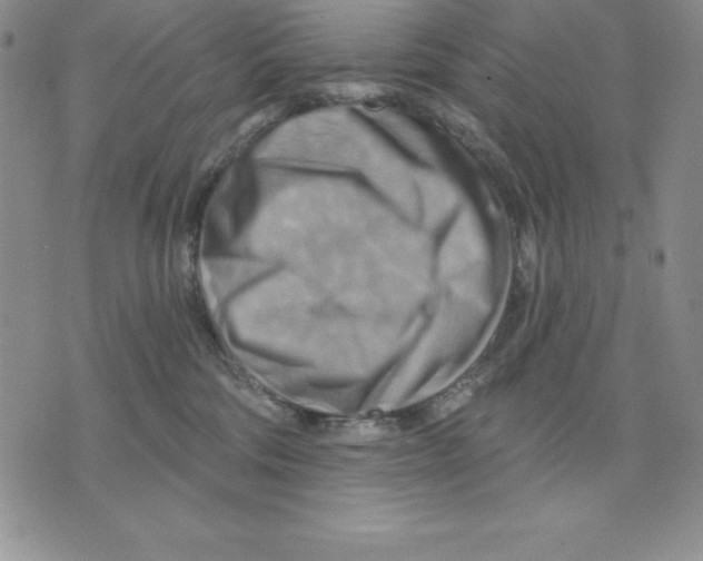 X0000075830330200610151526