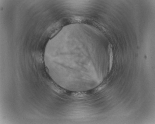 X0000075830331200610151526