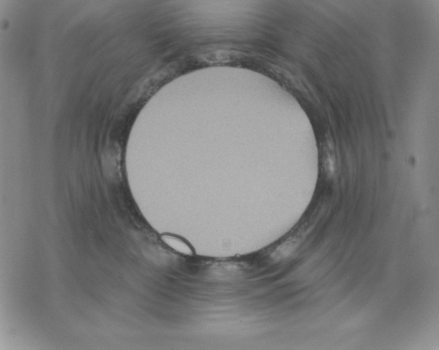 X0000075830332200610151526