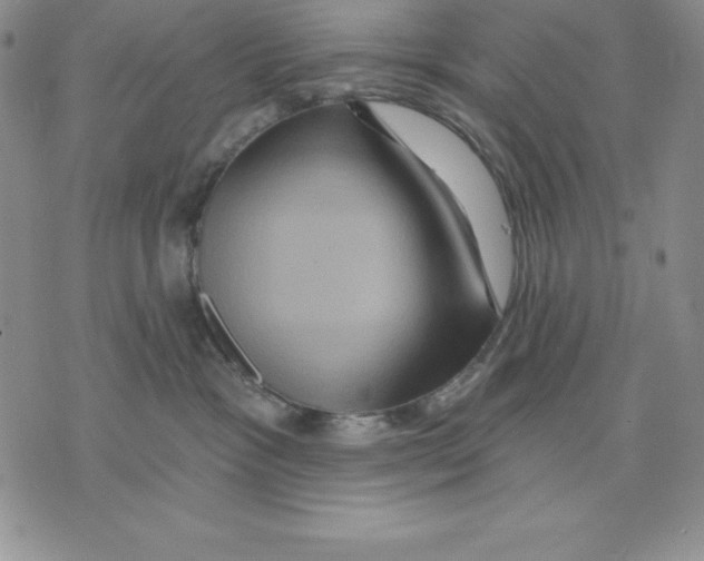 X0000075830333200610151526