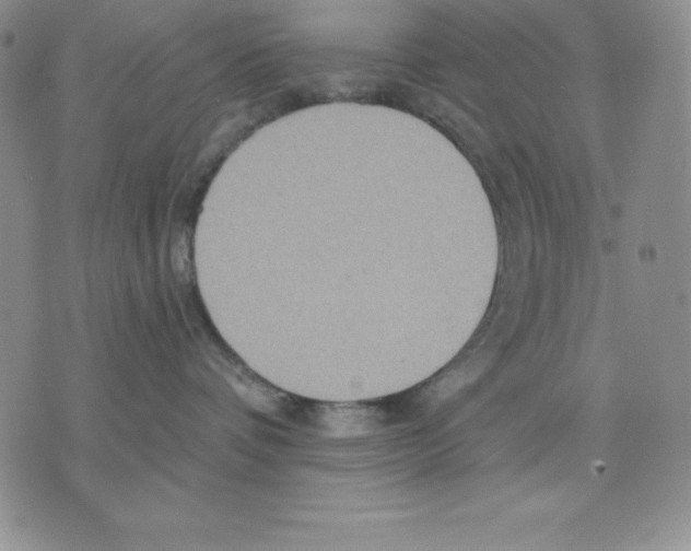 X0000075830336200610151526