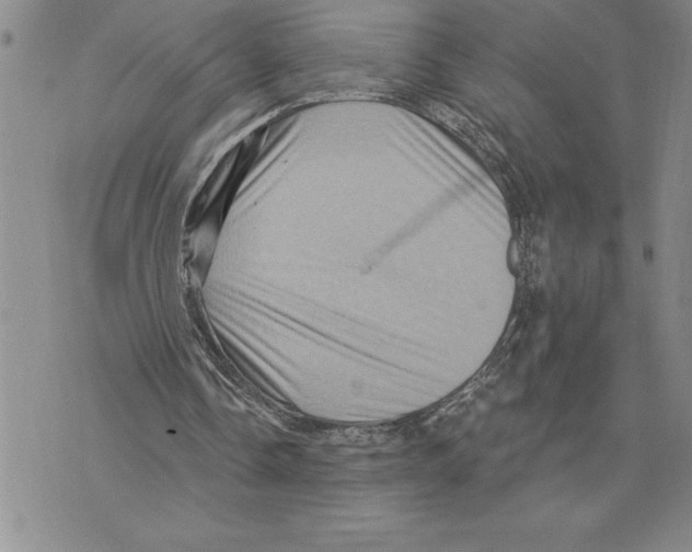 X0000075830338200610151525