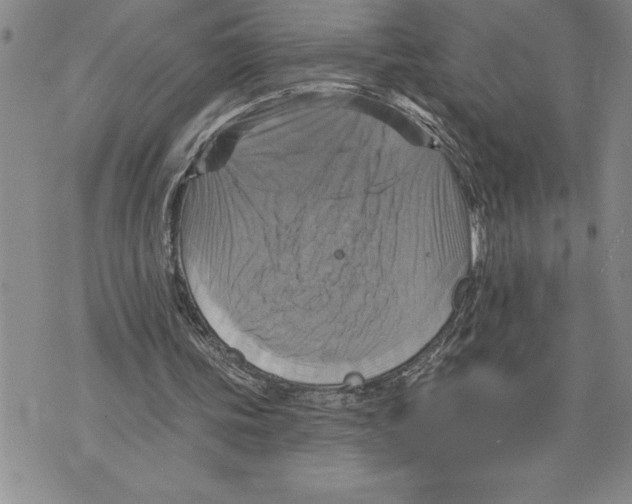 X0000075830339200610151525