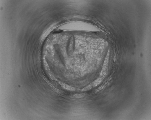 X0000075830341200610151525