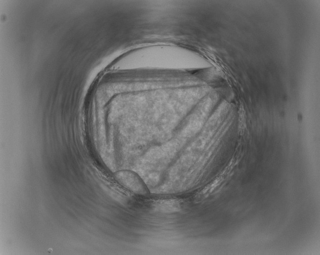 X0000075830342200610151525