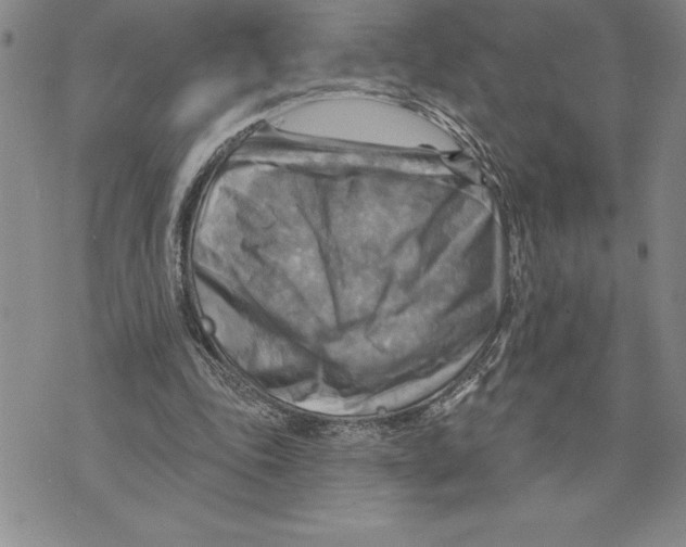 X0000075830343200610151525