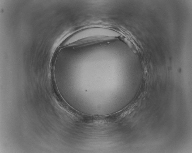 X0000075830344200610151525