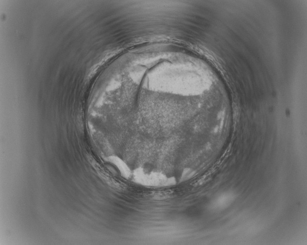 X0000075830345200610151525