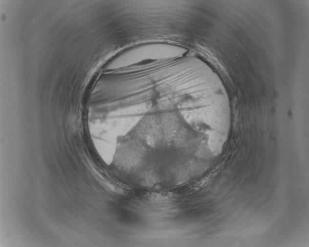 X0000075830346200610151525