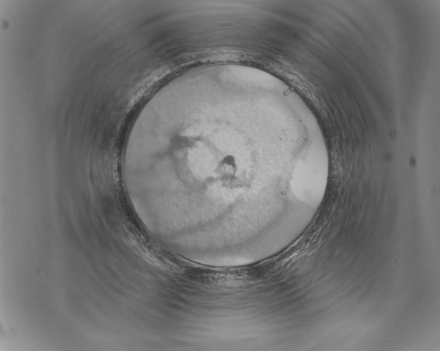 X0000075830347200610151525