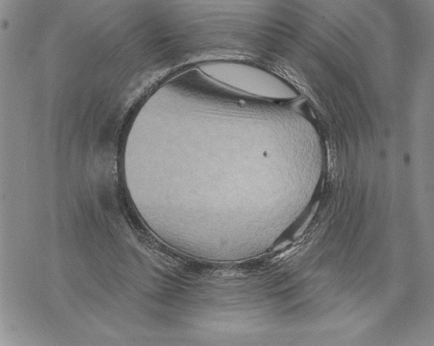 X0000075830348200610151525