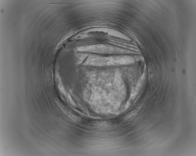 X0000075830349200610151525