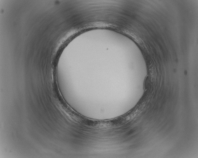 X0000075830350200610151525