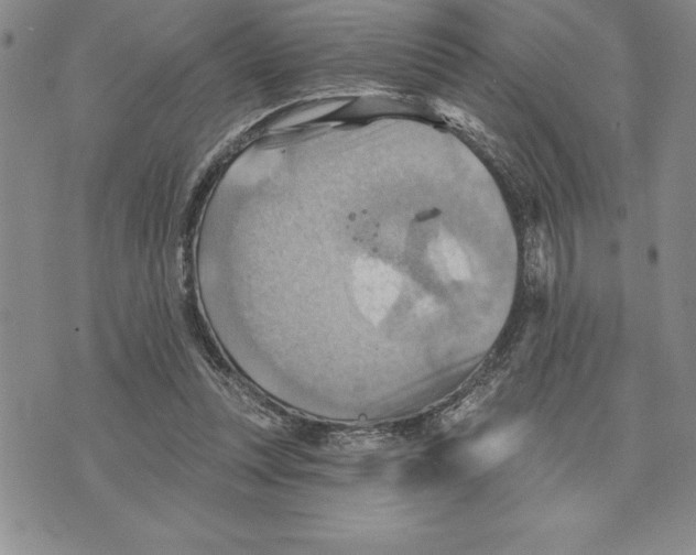 X0000075830351200610151526