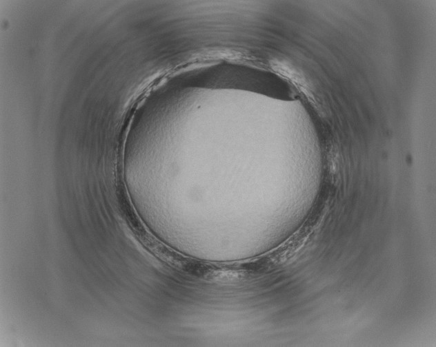 X0000075830352200610151526