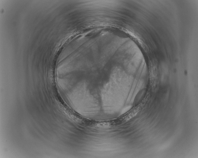 X0000075830353200610151526