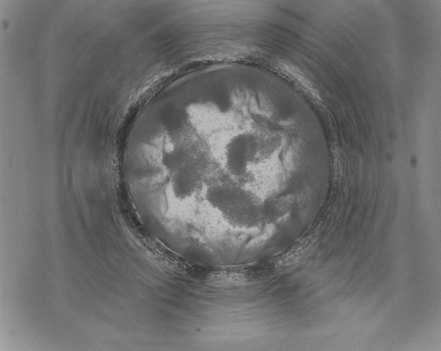 X0000075830354200610151526