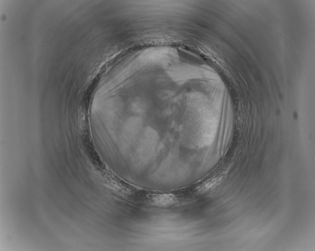 X0000075830355200610151526