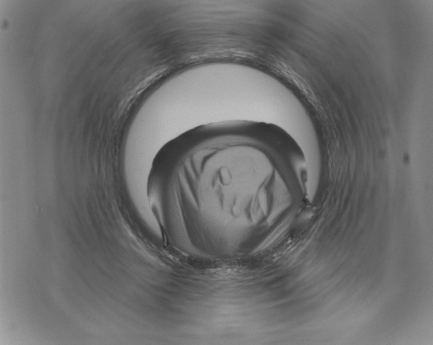 X0000075830356200610151526