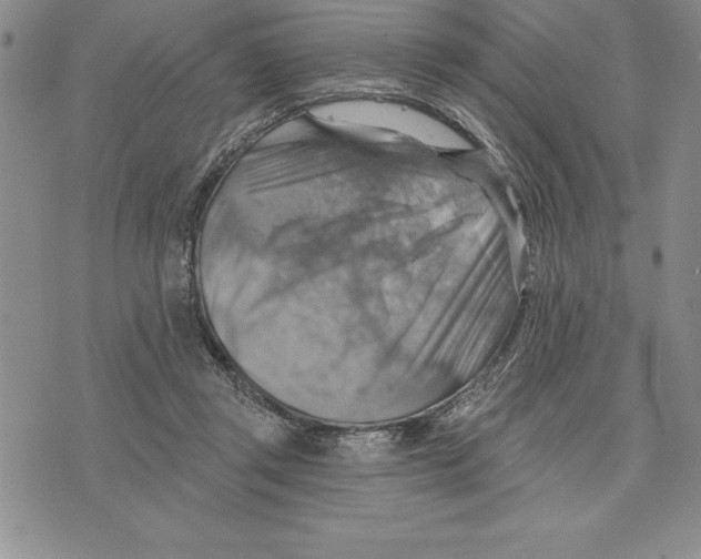 X0000075830357200610151526