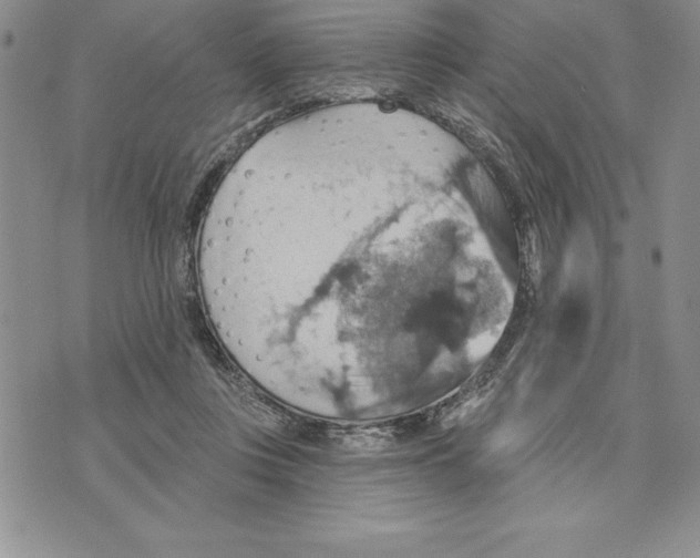 X0000075830359200610151526