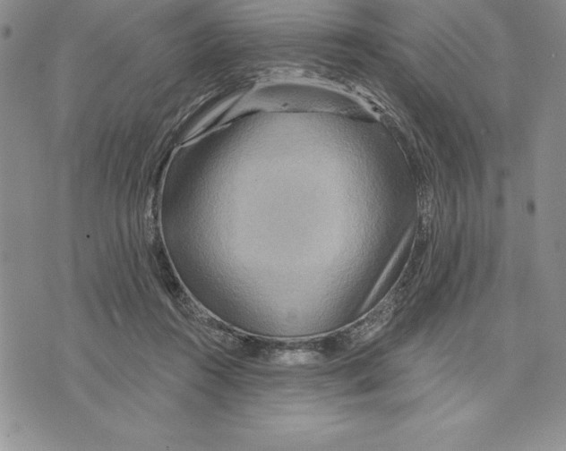 X0000075830360200610151526