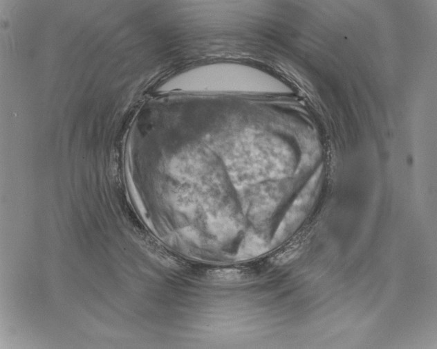 X0000075830361200610151526