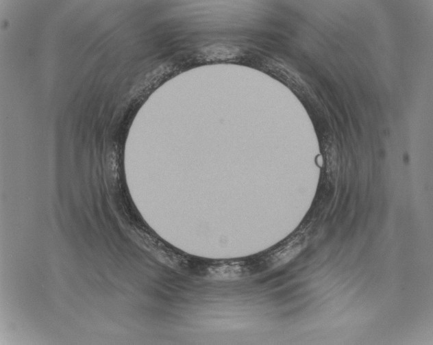 X0000075830362200610151526