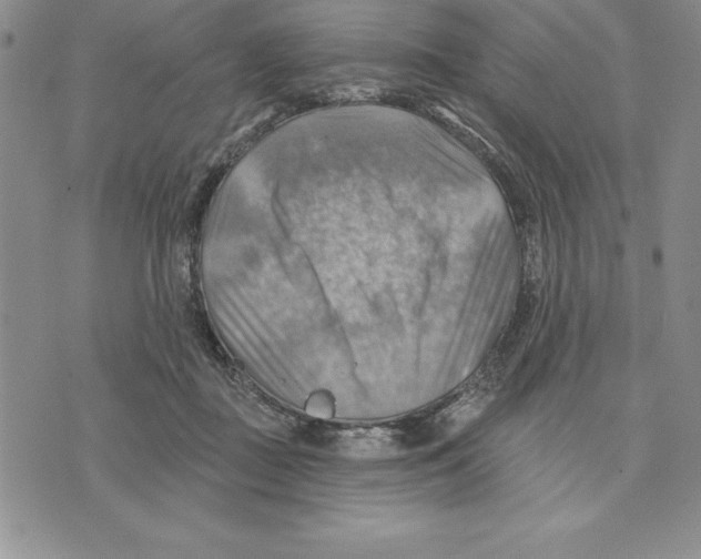 X0000075830363200610151526