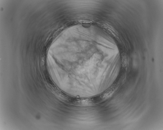 X0000075830365200610151526