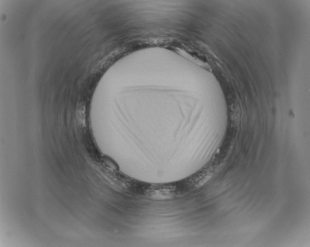 X0000075830368200610151526