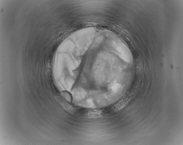 X0000075830369200610151526