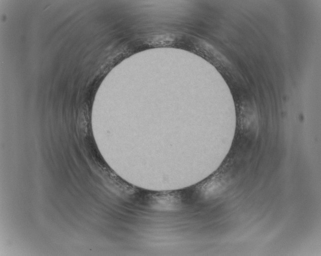 X0000075830370200610151526