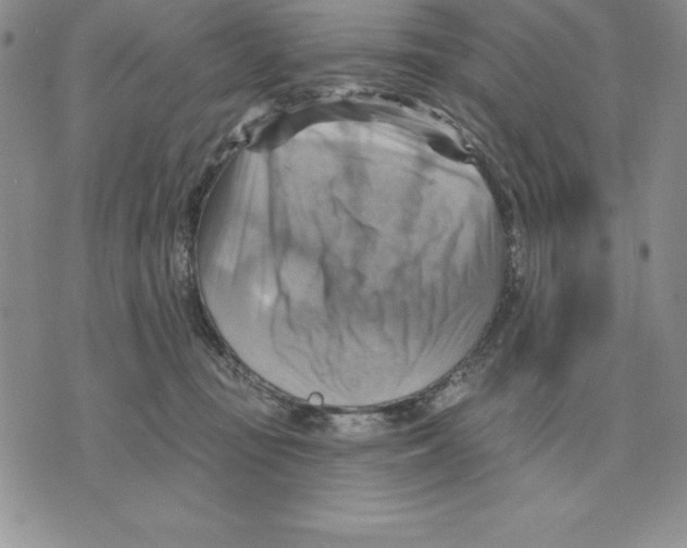 X0000075830371200610151526