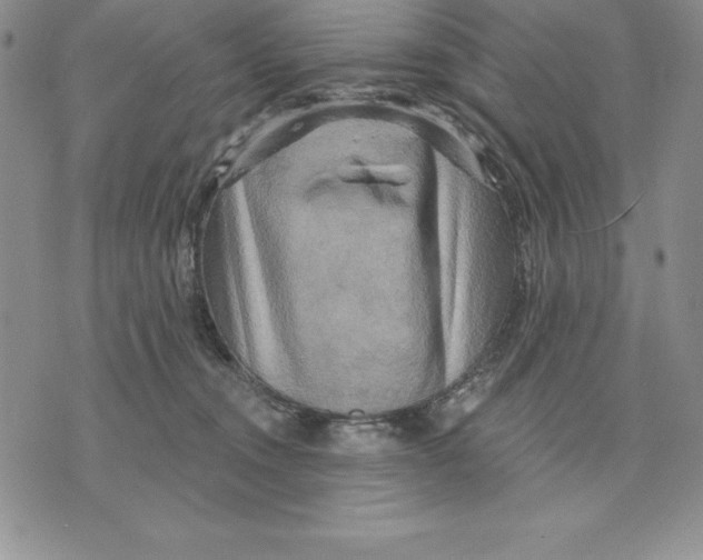 X0000075830372200610151526