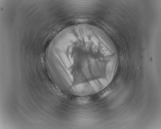 X0000075830373200610151526