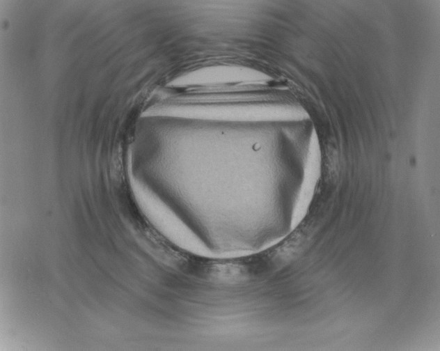 X0000075830376200610151526