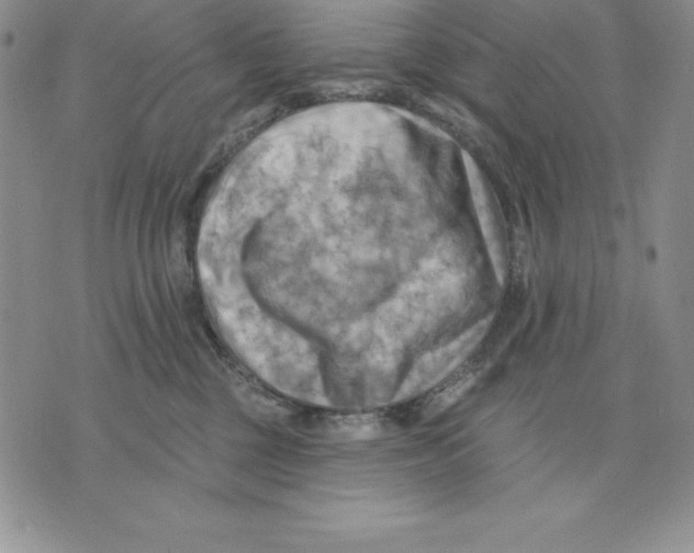 X0000075830377200610151526