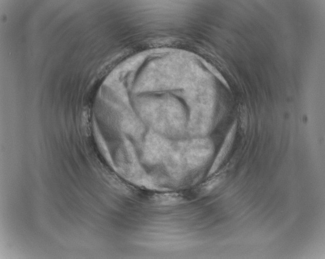 X0000075830378200610151526