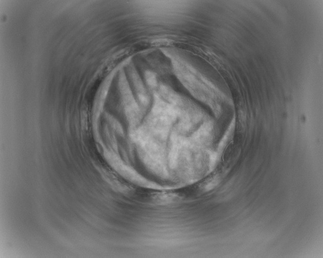 X0000075830379200610151526