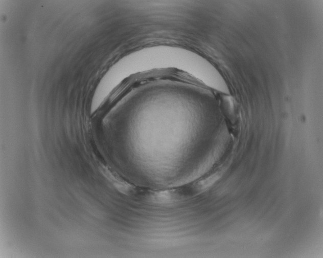 X0000075830382200610151526