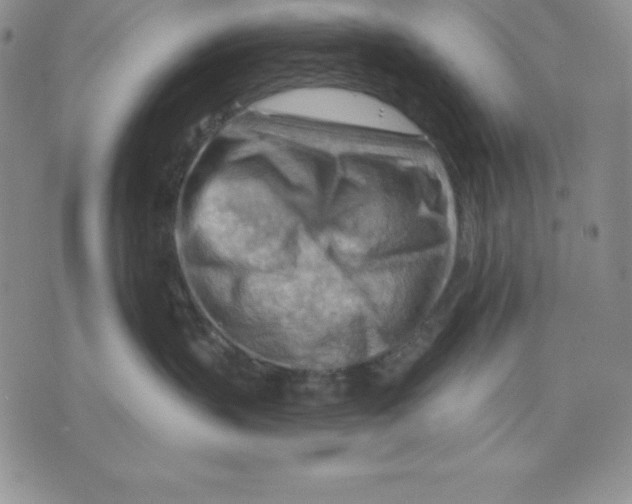 X0000075830383200610151526