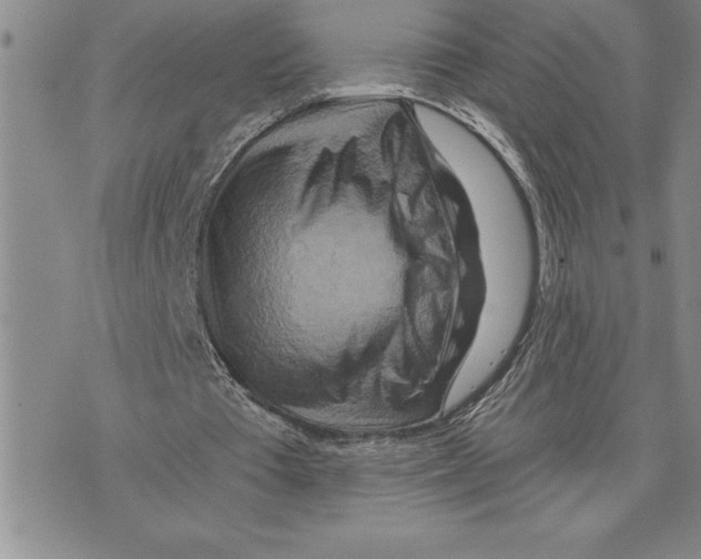 X0000075830385200610151525