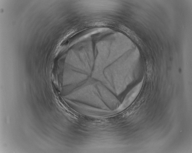 X0000075830386200610151525