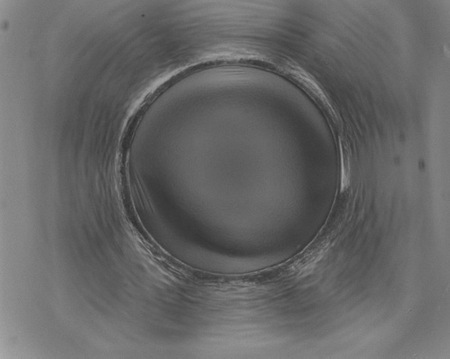 X0000075830387200610151525